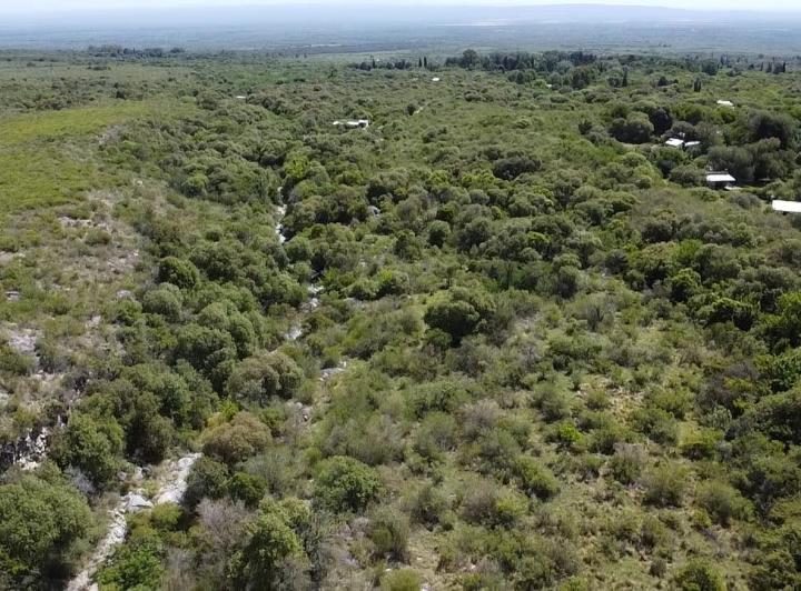 Lote en La Población, Traslasierra — Fabuloso Gran Terreno de 2,6 Hectáreas en La Población, Traslasierra!! — Venta, foto 3 de 8