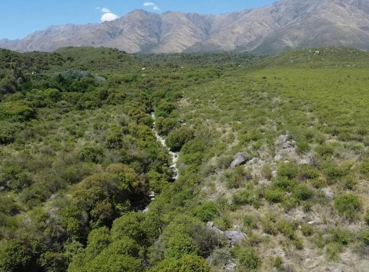 Lote en La Población, Traslasierra — Fabuloso Gran Terreno de 2,6 Hectáreas en La Población, Traslasierra!! — Venta, foto 4 de 8