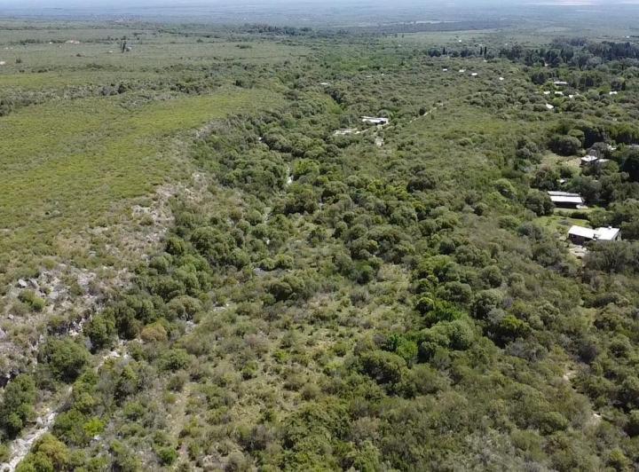 Lote en La Población, Traslasierra — Fabuloso Gran Terreno de 2,6 Hectáreas en La Población, Traslasierra!! — Venta, foto 6 de 8