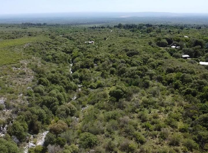Lote en La Población, Traslasierra — Fabuloso Gran Terreno de 2,6 Hectáreas en La Población, Traslasierra!! — Venta, foto 7 de 8