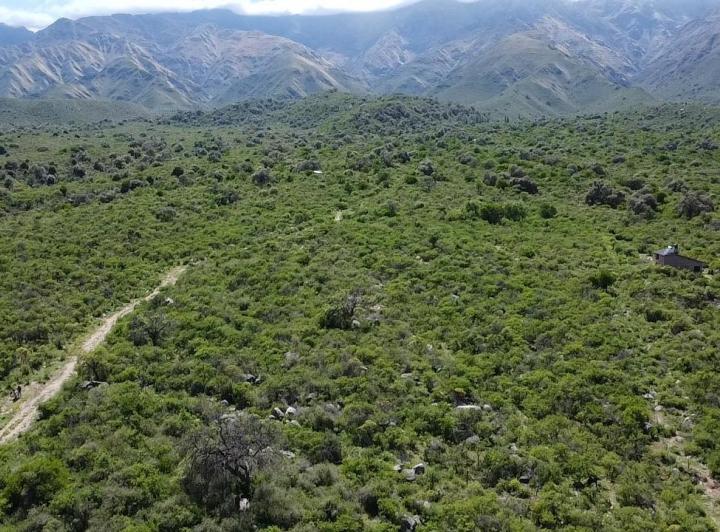 Lote en Rodeo de Piedra — Terreno en Venta en Rodeo de Piedra, Hermosisimo,, Traslasierra!! — Venta, foto 3 de 8
