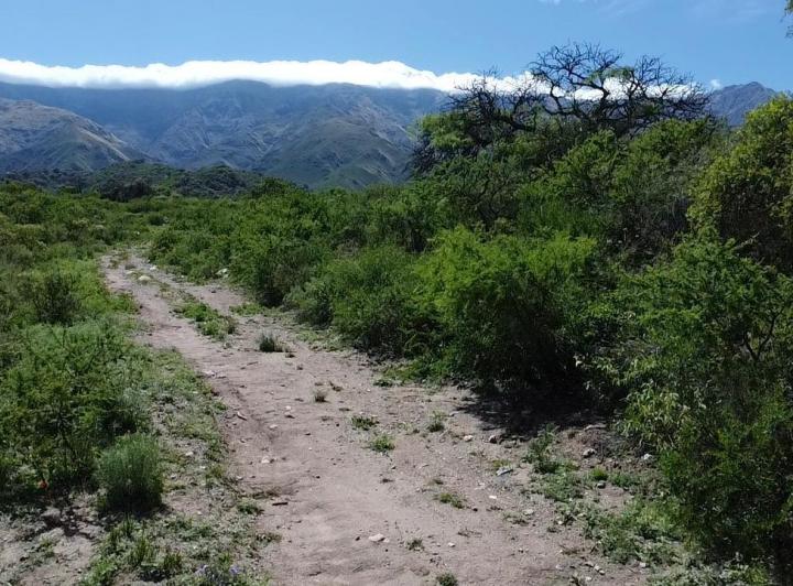 Lote en Rodeo de Piedra — Terreno en Venta en Rodeo de Piedra, Hermosisimo,, Traslasierra!! — Venta, foto 8 de 8