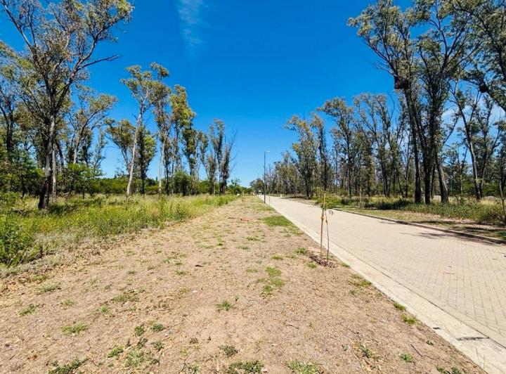 Lote en Nuevo Malagueño — Lote Apto Dúplex ! 380 Mt Nuevo Malagueño - Plano- Norte. — Venta, foto 7 de 8