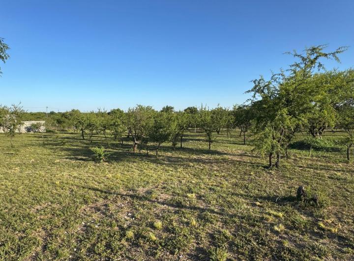 2 Lotes en Crucero Sud — Los Flamencos al 1100 — Venta, foto 1 de 8