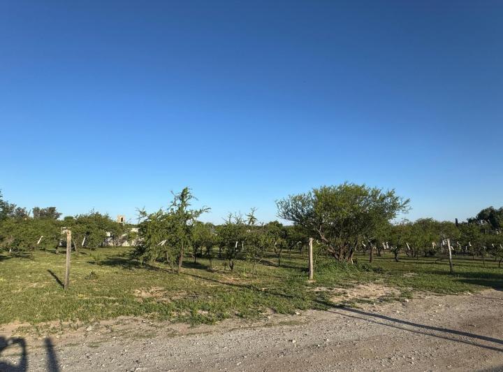 2 Lotes en Crucero Sud — Los Flamencos al 1100 — Venta, foto 2 de 8