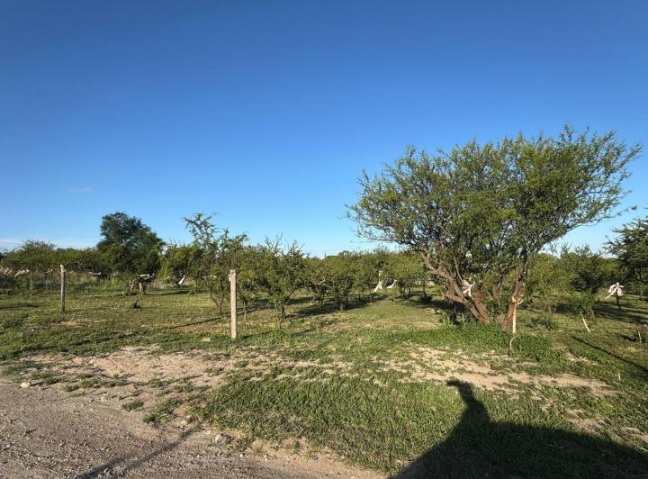 2 Lotes en Crucero Sud — Los Flamencos al 1100 — Venta, foto 3 de 8