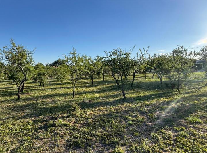2 Lotes en Crucero Sud — Los Flamencos al 1100 — Venta, foto 4 de 8