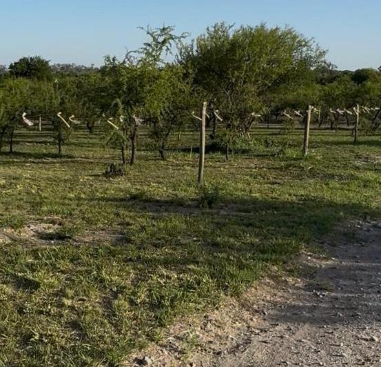 2 Lotes en Crucero Sud — Los Flamencos al 1100 — Venta, foto 8 de 8