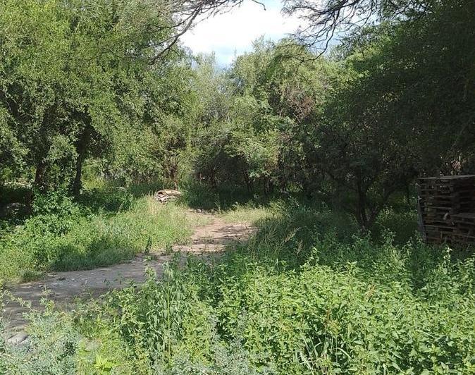 Lote en Villa de Las Rosas — Terreno Centrico EN Viila DE LAS Rosas Traslasierra !! Con Escritura !! — Venta, foto 3 de 7