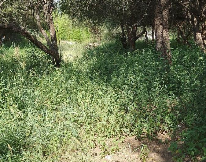 Lote en Villa de Las Rosas — Terreno Centrico EN Viila DE LAS Rosas Traslasierra !! Con Escritura !! — Venta, foto 5 de 7