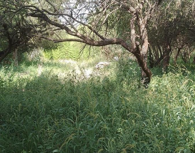 Lote en Villa de Las Rosas — Terreno Centrico EN Viila DE LAS Rosas Traslasierra !! Con Escritura !! — Venta, foto 6 de 7