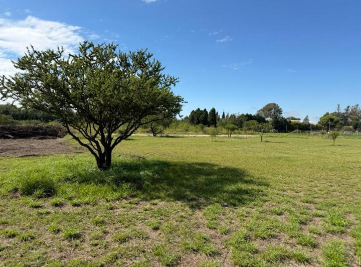 Lotes en Villa Esquiú — Oportunidad de Inversión Lotes Chacras del Buen Aire!! Av. Las Malvinas y Circunvalación — Venta, foto 3 de 8