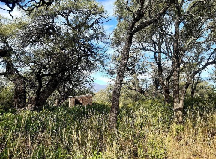 Lote en Las Tapias — 3 Hectareas en Venta en Las Tapias, Escritura. Traslasierra!!! — Venta, foto 1 de 8