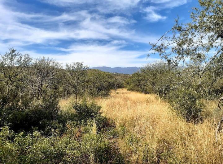 Lote en Las Tapias — 3 Hectareas en Venta en Las Tapias, Escritura. Traslasierra!!! — Venta, foto 2 de 8
