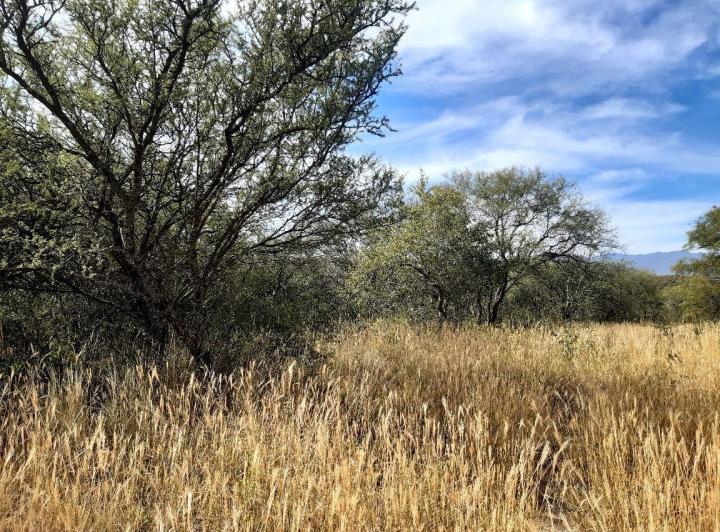 Lote en Las Tapias — 3 Hectareas en Venta en Las Tapias, Escritura. Traslasierra!!! — Venta, foto 3 de 8