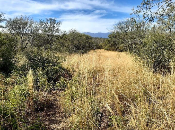 Lote en Las Tapias — 3 Hectareas en Venta en Las Tapias, Escritura. Traslasierra!!! — Venta, foto 5 de 8