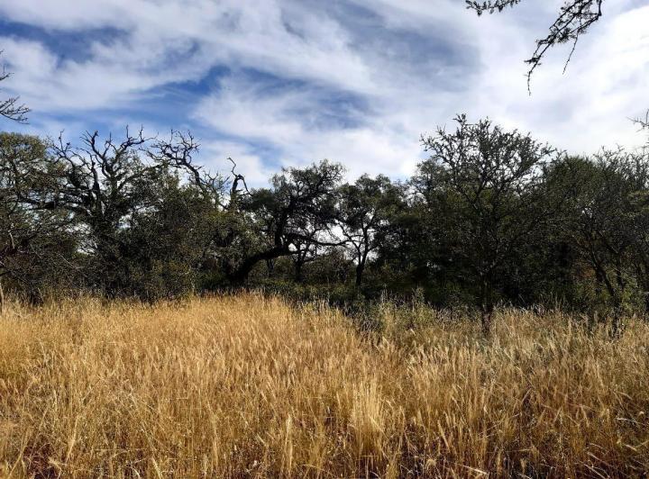 Lote en Las Tapias — 3 Hectareas en Venta en Las Tapias, Escritura. Traslasierra!!! — Venta, foto 6 de 8