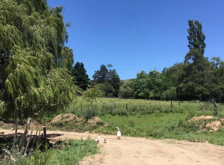 Lote en Peñón del Águila, La Cumbrecita — Los Reartes — Venta, foto 4 de 8