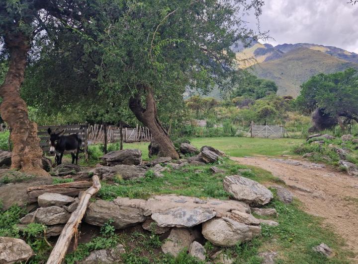Lote en San Javier — san Javiersan Javier Arriba — Venta, foto 2 de 8