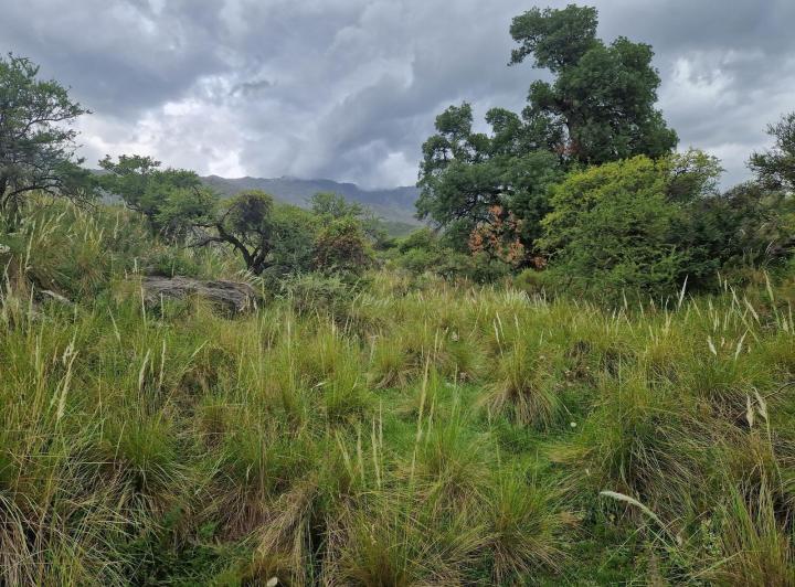 Lote en San Javier — san Javiersan Javier Arriba — Venta, foto 4 de 8