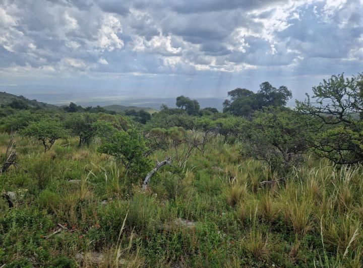 Lote en San Javier — san Javiersan Javier Arriba — Venta, foto 5 de 8