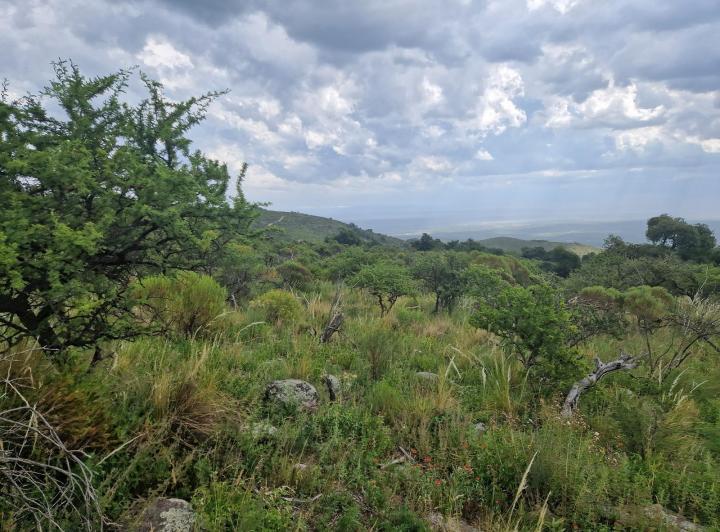 Lote en San Javier — san Javiersan Javier Arriba — Venta, foto 6 de 8
