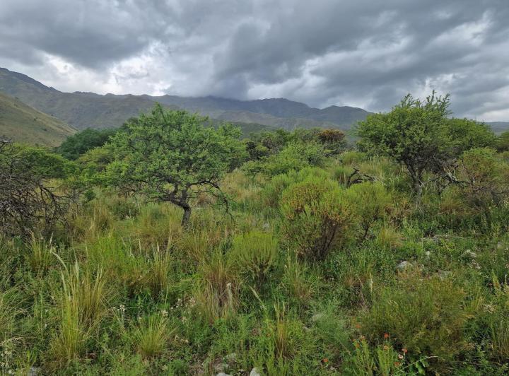 Lote en San Javier — san Javiersan Javier Arriba — Venta, foto 7 de 8