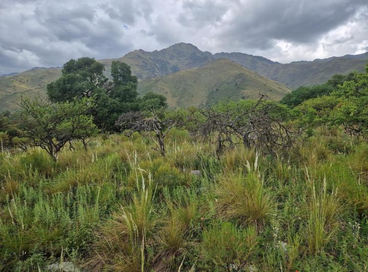 Lote en San Javier — san Javiersan Javier Arriba — Venta, foto 8 de 8