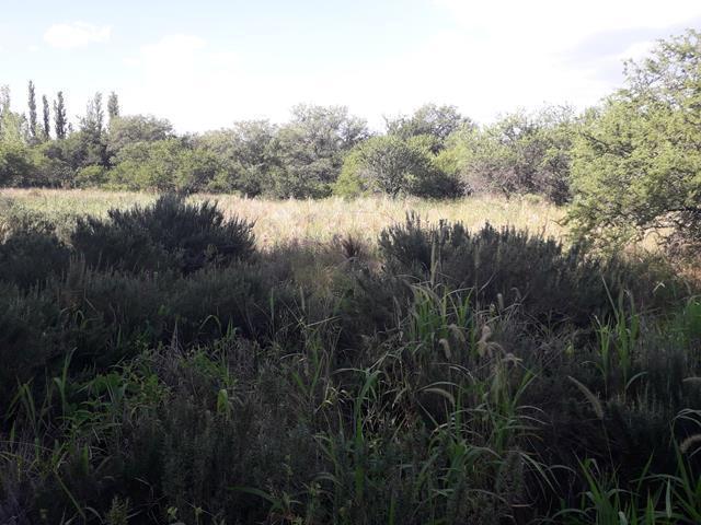 Lote en Villa de Las Rosas — Venta de Casi 1 Hectárea en V. de Las Rosas Traslasierra!! — Venta, foto 7 de 8