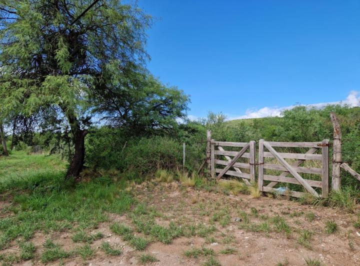 Lote en Yacanto, Traslasierra — Ruta 14 Yacanto — Venta, foto 2 de 8