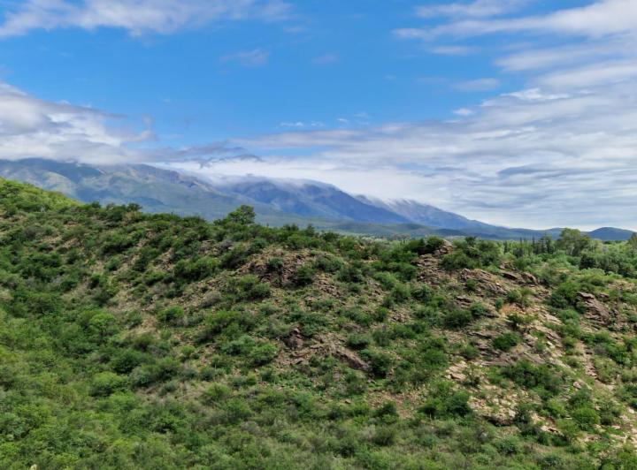 Lote en Yacanto, Traslasierra — Ruta 14 Yacanto — Venta, foto 7 de 8