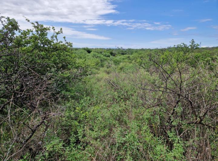 Lote en Yacanto, Traslasierra — Ruta 14 Yacanto — Venta, foto 8 de 8