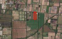 Lote 2 Hectáreas en Villa Retiro — Villa Retiro - C.del Riego y Cabaña Virginia 1 — Venta, foto 2 de 8