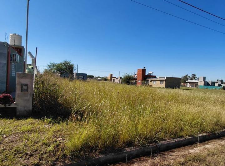 Lote en Altos de La Colonia — Ruta A-174 — Venta, foto 6 de 8