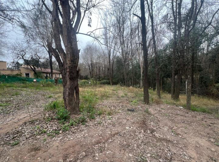 Lotes en Venta en Villa Warcalde — Venta Terrenos Contiguos/ 4728 mt/ / Invertí con Visión/ Villa Warcalde. — Venta, foto 3 de 8