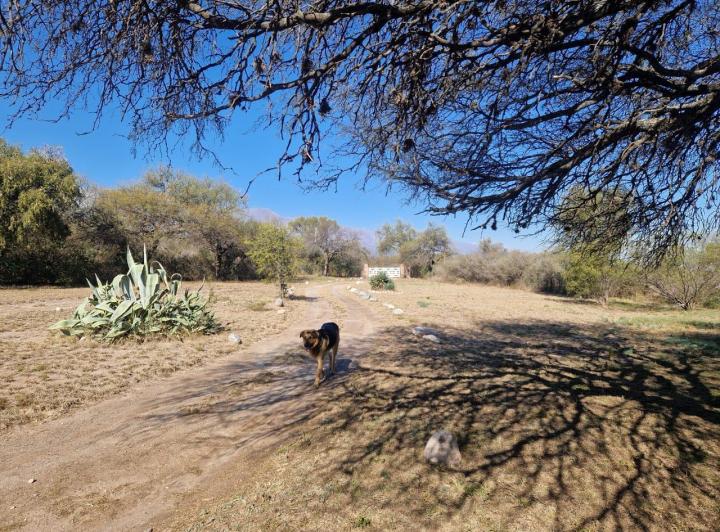 Casa 5 ambientes en Los Pozos, Traslasierra — Casa con Pileta de Natación Gran Vista a las Sierras !! Superf. 8.530 m2 Escritura!! Los Pozos - Traslasierra!! — Venta, foto 3 de 8