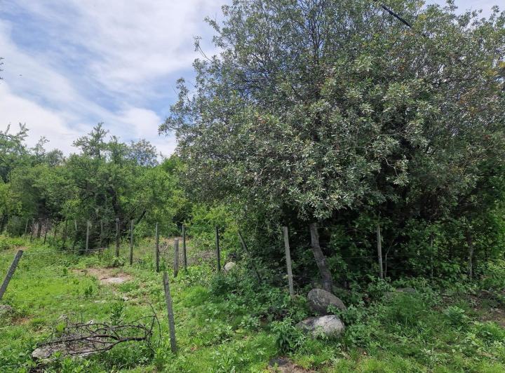 Lote en San Javier, Traslasierra — En Venta Terreno Cerca de la Plaza en San Javier, Traslasierra!! — Venta, foto 3 de 8