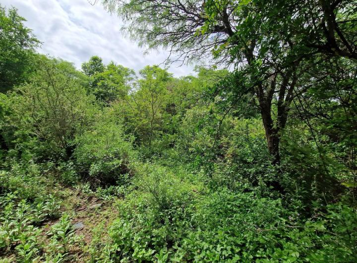 Lote en San Javier, Traslasierra — En Venta Terreno Cerca de la Plaza en San Javier, Traslasierra!! — Venta, foto 6 de 8