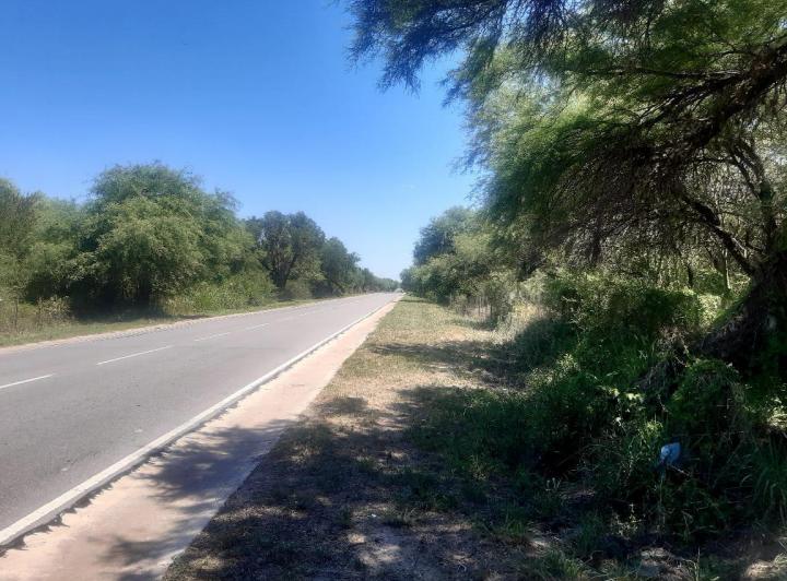Campo en Venta en San Javier — 76 Hectareas en Venta en el Corazon de Conlara, Traslasierras!! — Venta, foto 2 de 8