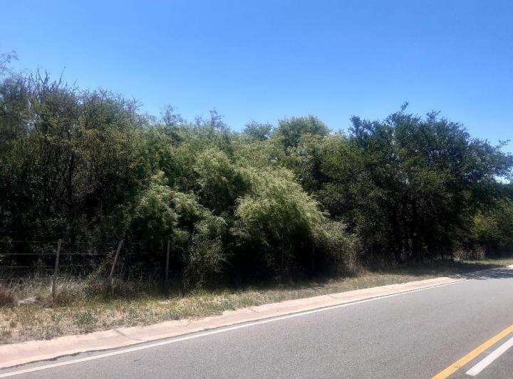 Campo en Venta en San Javier — 76 Hectareas en Venta en el Corazon de Conlara, Traslasierras!! — Venta, foto 6 de 8
