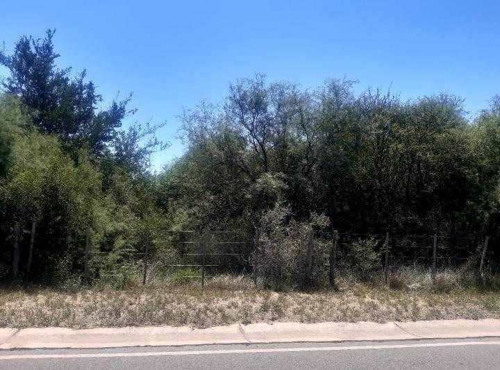 Campo en Venta en San Javier — 76 Hectareas en Venta en el Corazon de Conlara, Traslasierras!! — Venta, foto 7 de 8