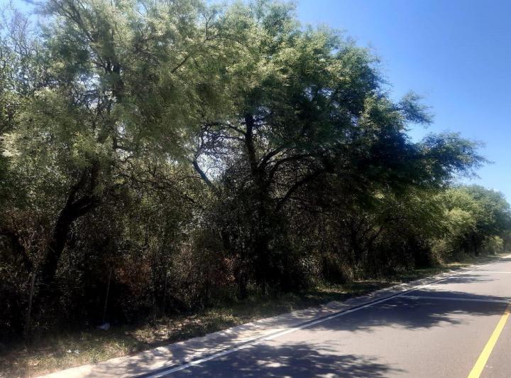 Campo en Venta en San Javier — 76 Hectareas en Venta en el Corazon de Conlara, Traslasierras!! — Venta, foto 8 de 8