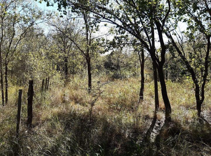 Lote en Arroyo de Los Patos — Terreno en Arroyo de Los Patos Traslasierra!!! — Venta, foto 8 de 8