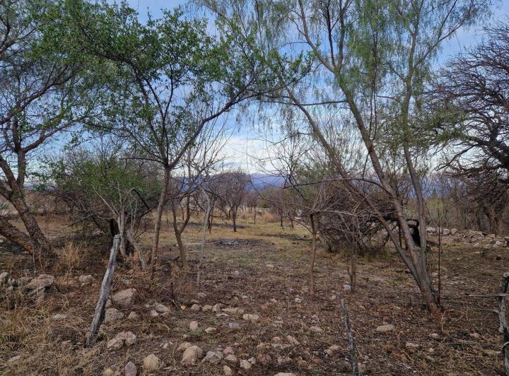 Lote en San Javier — Terreno en Venta a 50 Mts del Rio de Los Sauces , Traslasierra!! — Venta, foto 3 de 8