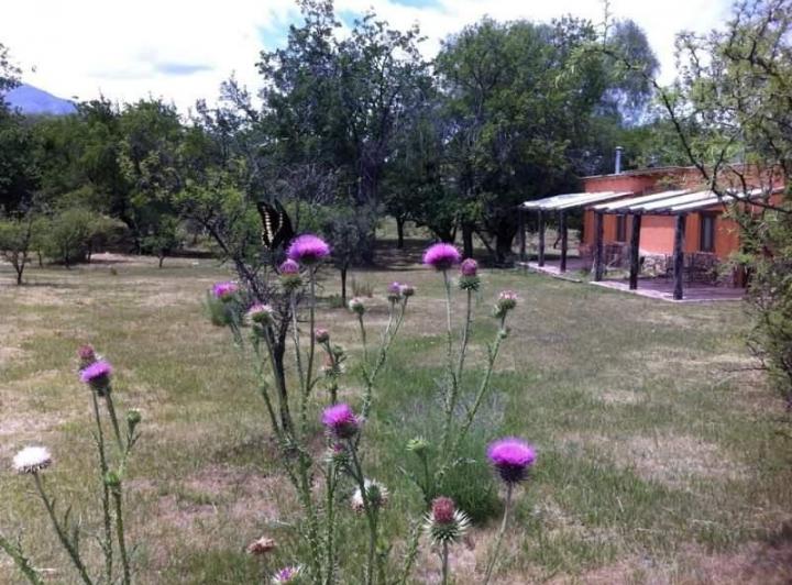Casa 3 ambientes en San Javier — Vendemos Casa en Terreno de 2 Hectareas, Simplemente Hermosa Propiedad!!san Javier, Traslasierra.!!! — Venta, foto 3 de 8