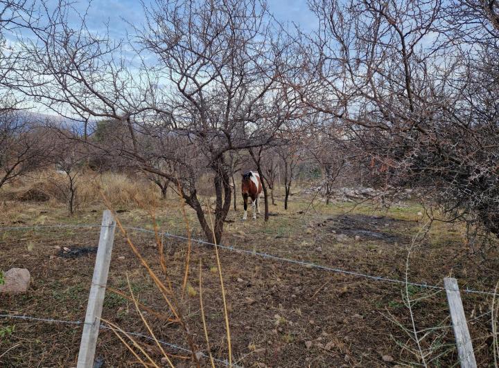 Lote en San Javier — Terreno en Venta a 50 Mts del Rio de Los Sauces , Traslasierra!! — Venta, foto 8 de 8