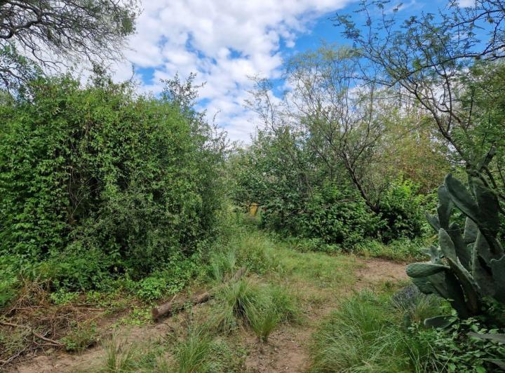 Terreno en La Aguadita, Villa de Las Rosas — Terreno La Aguadita - Villa de Las Rosas Traslasierra!! — Venta, foto 1 de 8