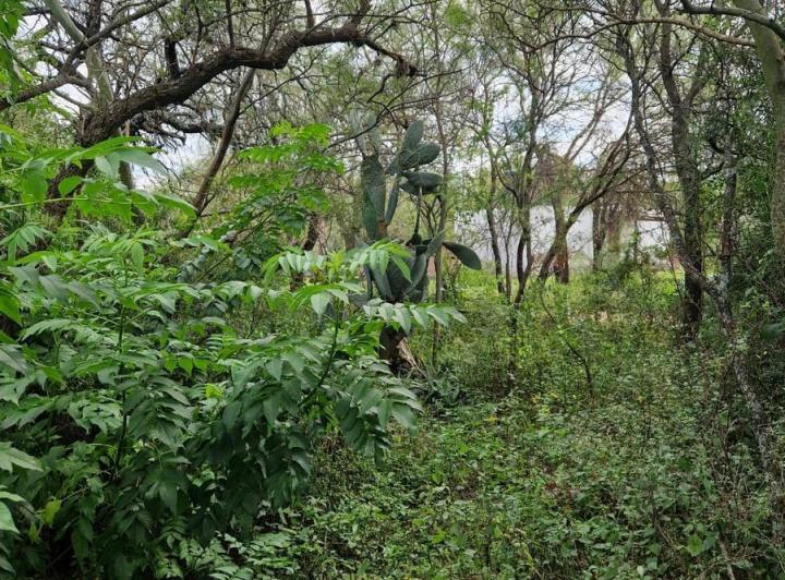 Terreno en La Aguadita, Villa de Las Rosas — Terreno La Aguadita - Villa de Las Rosas Traslasierra!! — Venta, foto 5 de 8