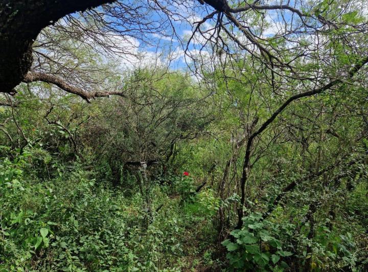 Terreno en La Aguadita, Villa de Las Rosas — Terreno La Aguadita - Villa de Las Rosas Traslasierra!! — Venta, foto 6 de 8