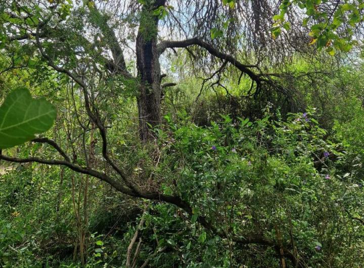 Terreno en La Aguadita, Villa de Las Rosas — Terreno La Aguadita - Villa de Las Rosas Traslasierra!! — Venta, foto 7 de 8